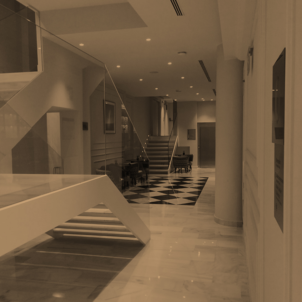 Proyecto 3